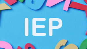 What does IEP stand for in special education?